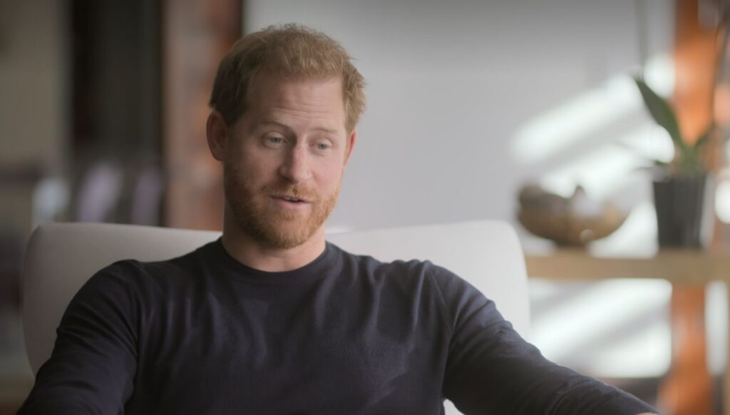 Prince Harry speaking in Netflix series