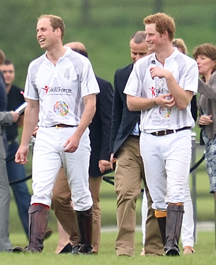 Prince William and Prince Harry at the Audi Polo Challenge 2014