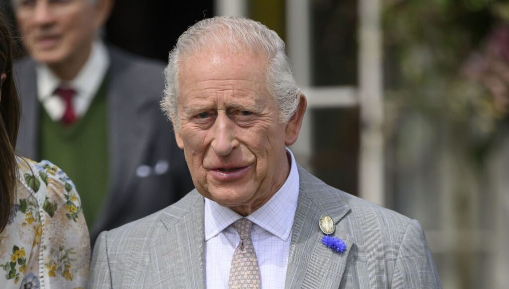King Charles in grey suit at royal engagement