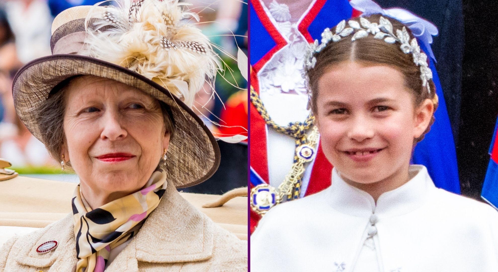 'Lesson' Princess Anne taught Princess Charlotte during 'royal crash course that Kate found tough'