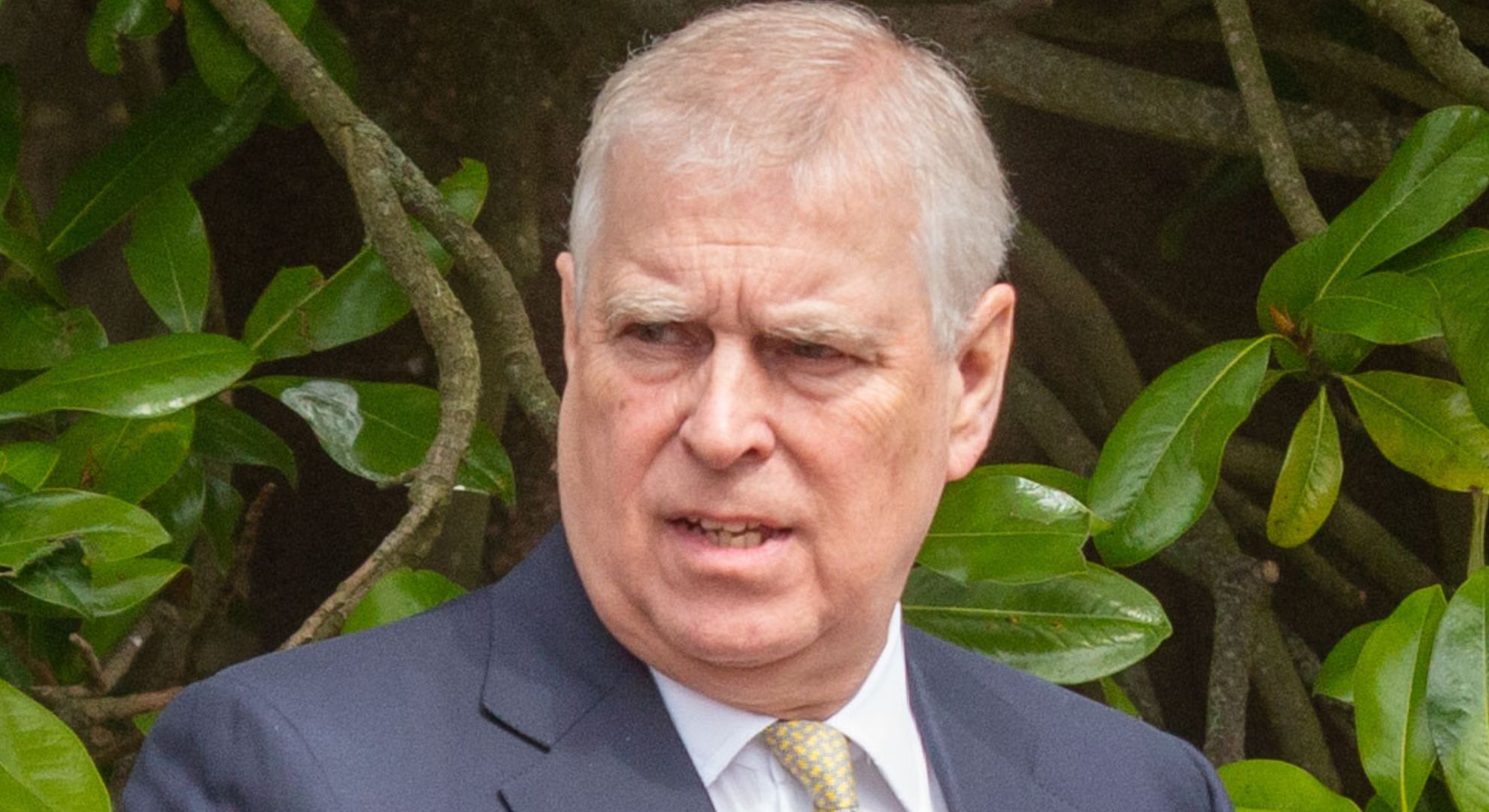Prince Andrew issued 'verdict' on being stripped of royal titles amid new book scandal