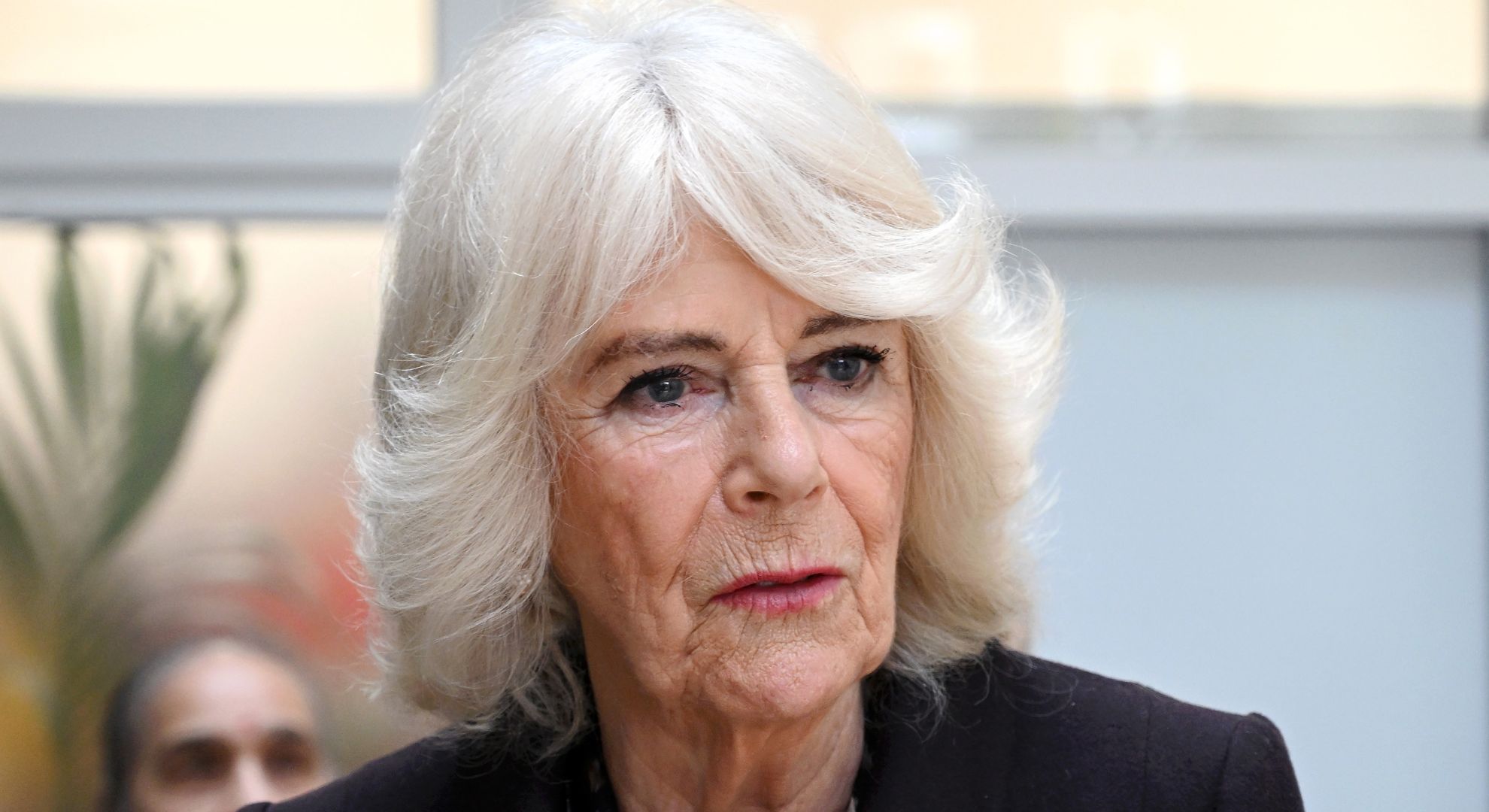 Heartbreaking 'reason' Queen Camilla never went public with 'sexual assault attempt'