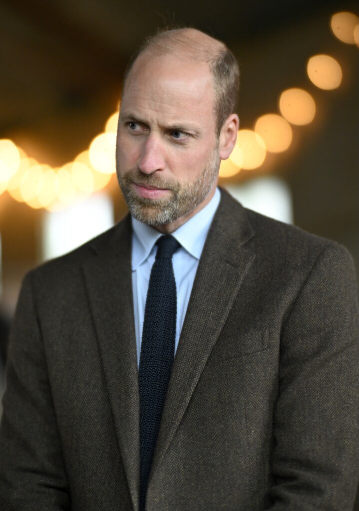 Prince William in brown suit jacket  