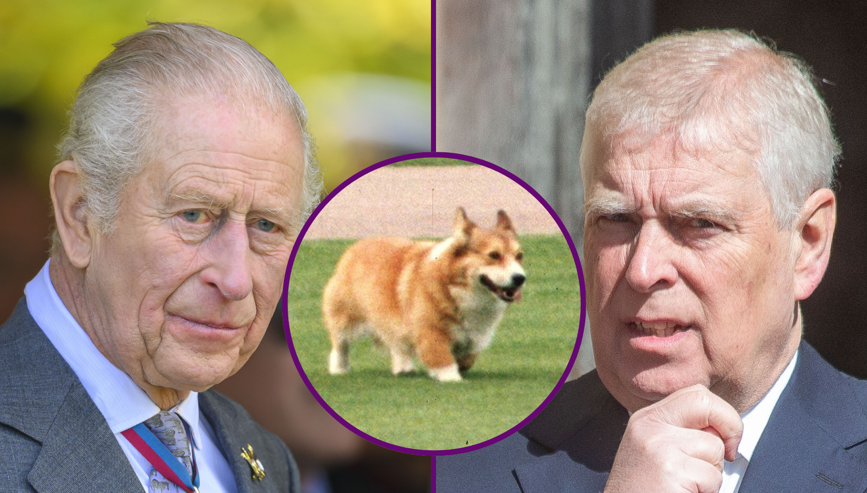 King Charles is allegedly 'preparing to seize' Queen Elizabeth's corgis from Andrew Mountbatten-Windsor