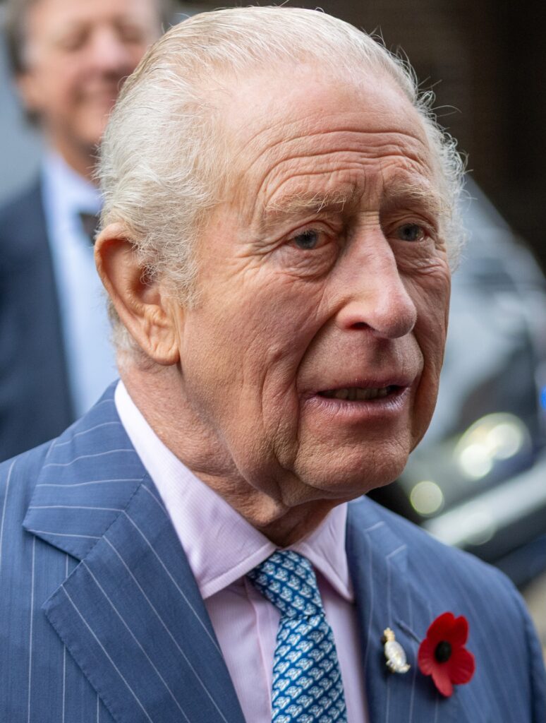 King Charles up close at an event wearing suit jacket with tie and poppy