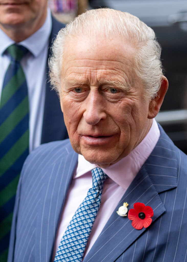 King Charles wearing a poppy