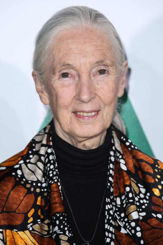 Jane Goodall on the red carpet
