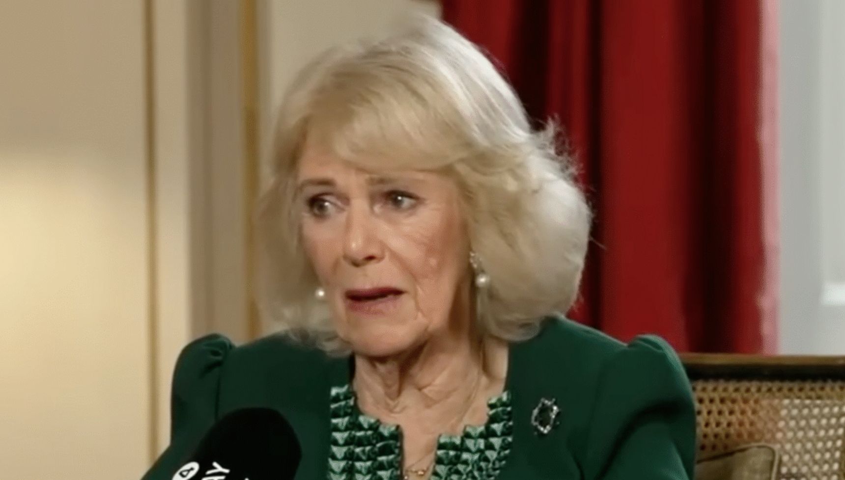 Queen Camilla opens up on having to 'fight off' attack on train in moving broadcast with John Hunt family