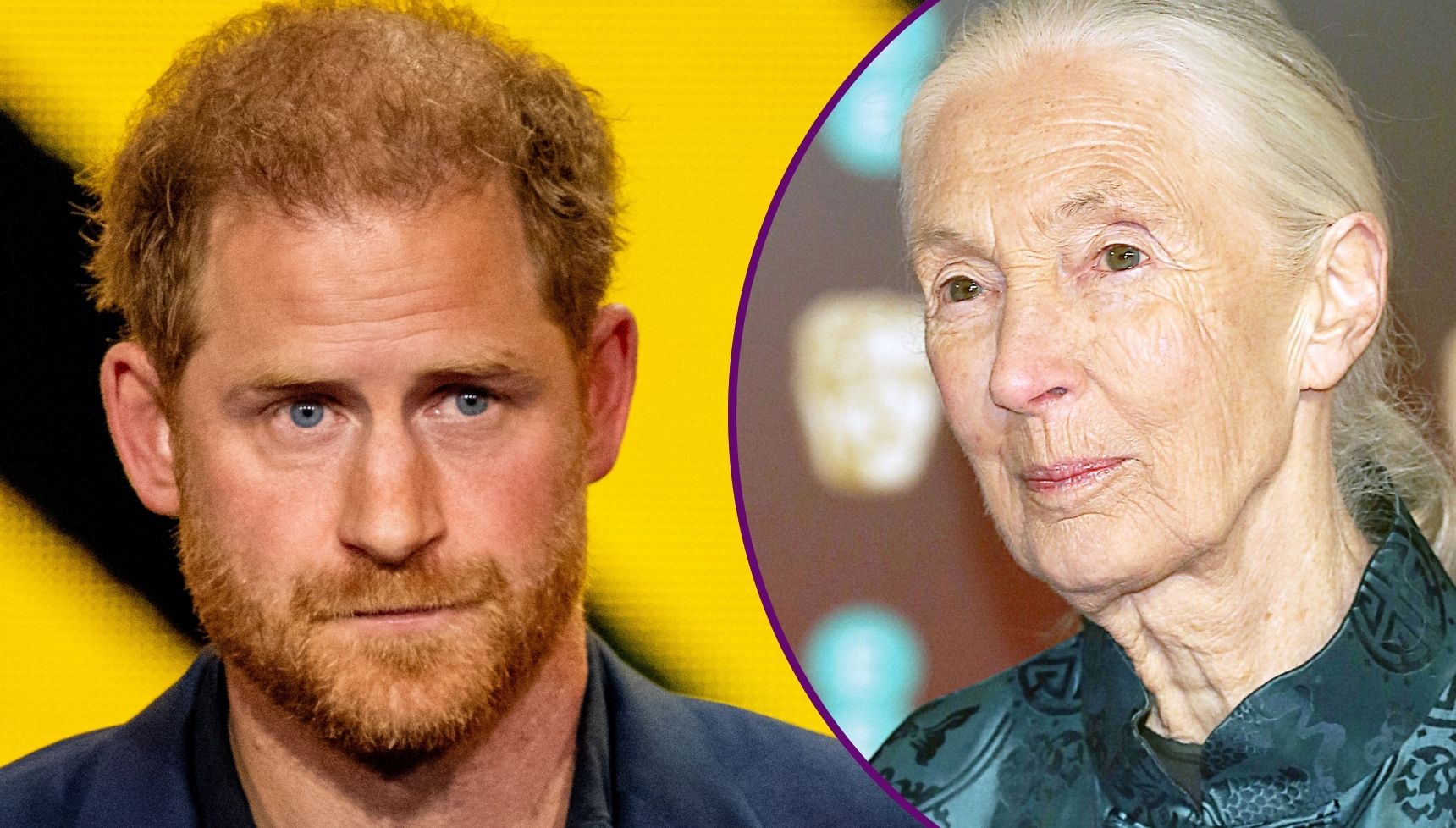 Prince Harry hits back at claim he introduced son Archie as 'my little African child' to Jane Goodall