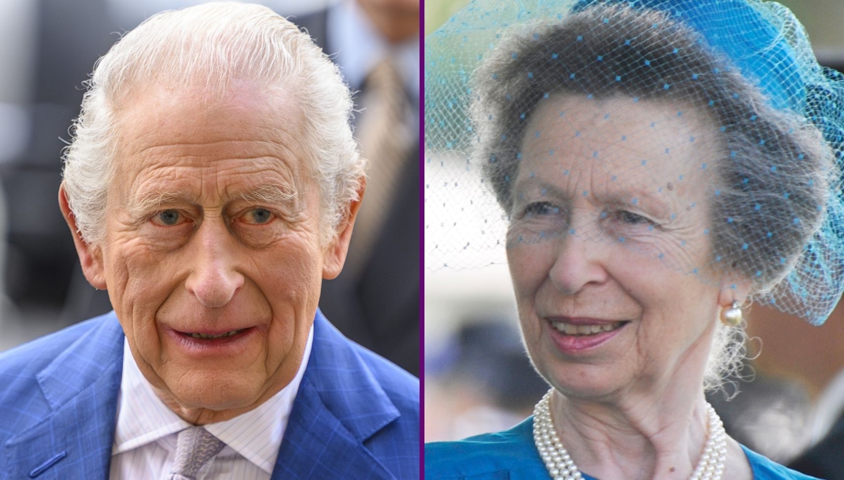 New photo of King Charles and Princess Anne's 'unbreakable bond' leave fans gushing