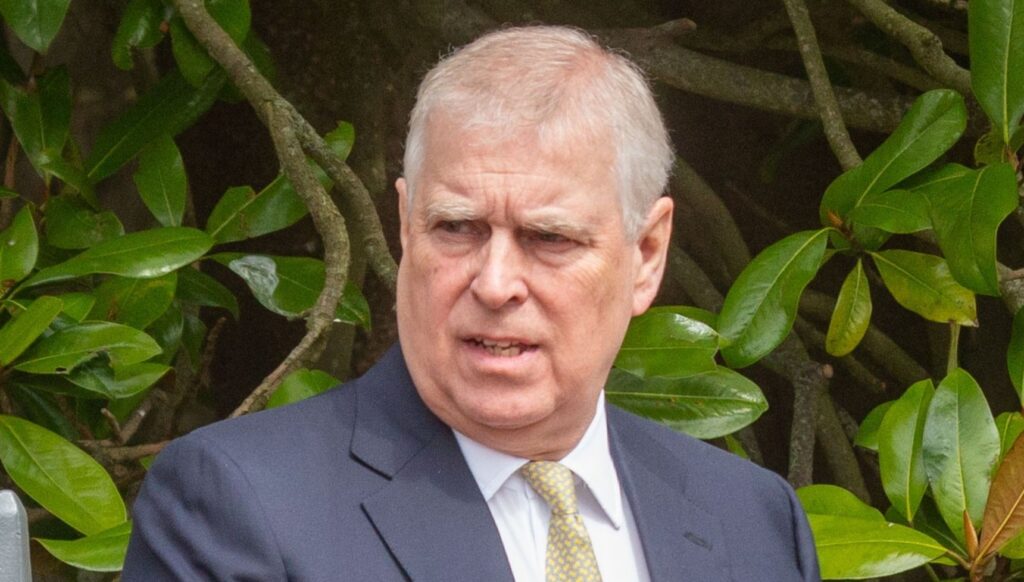 Andrew Mountbatten Windsor in a suit with yellow tie