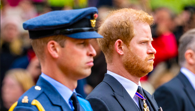 Harry and William at a royal event 