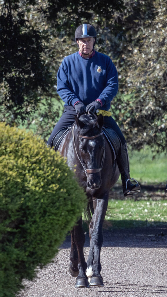 Andrew Mountbatten-Windsor scowling as he sits on top of a horse wearing a riding hat
