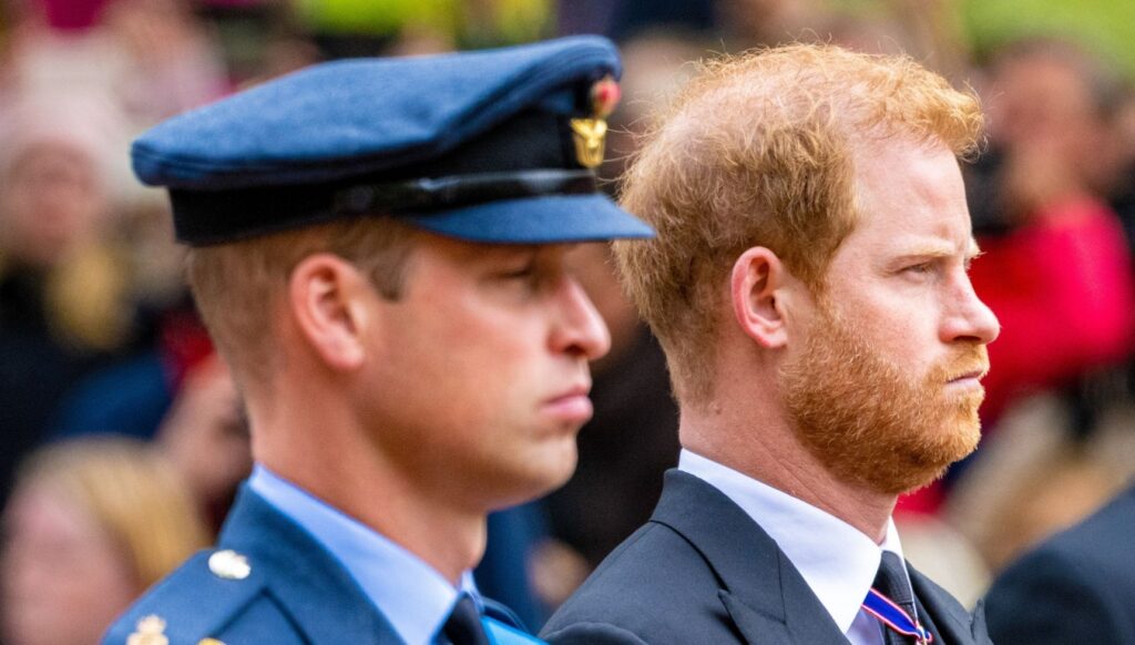Prince William and Harry at Queen's funeral