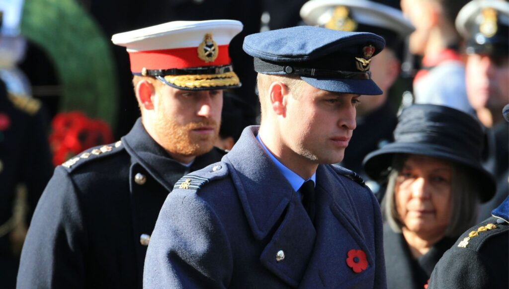 Prince Harry and William during royal service