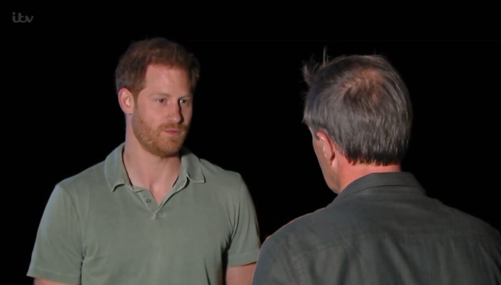 Prince Harry speaking with Tom Bradby in ITV documentary