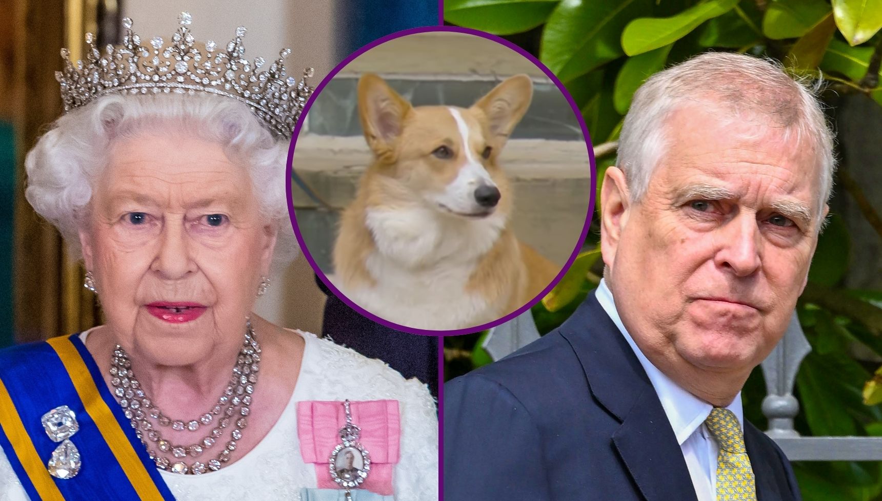 'Update' on Queen Elizabeth II's dogs following Andrew Mountbatten-Windsor's Royal Lodge exit
