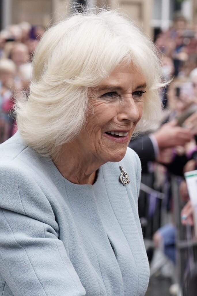 Queen Camilla wearing blue, with a crown brooch attached to her dress