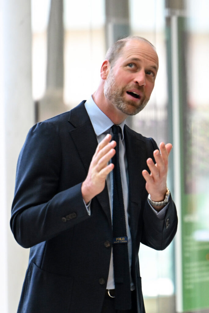 Prince William talking with his hands
