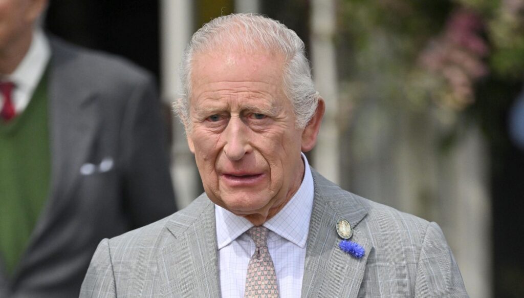 King Charles in grey suit, looking concerned