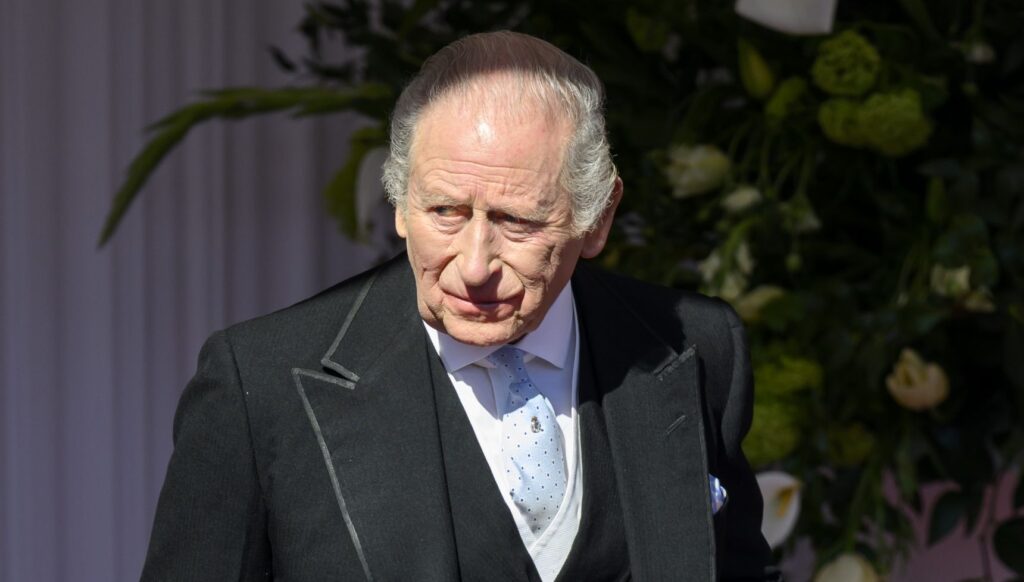 King Charles during state visit