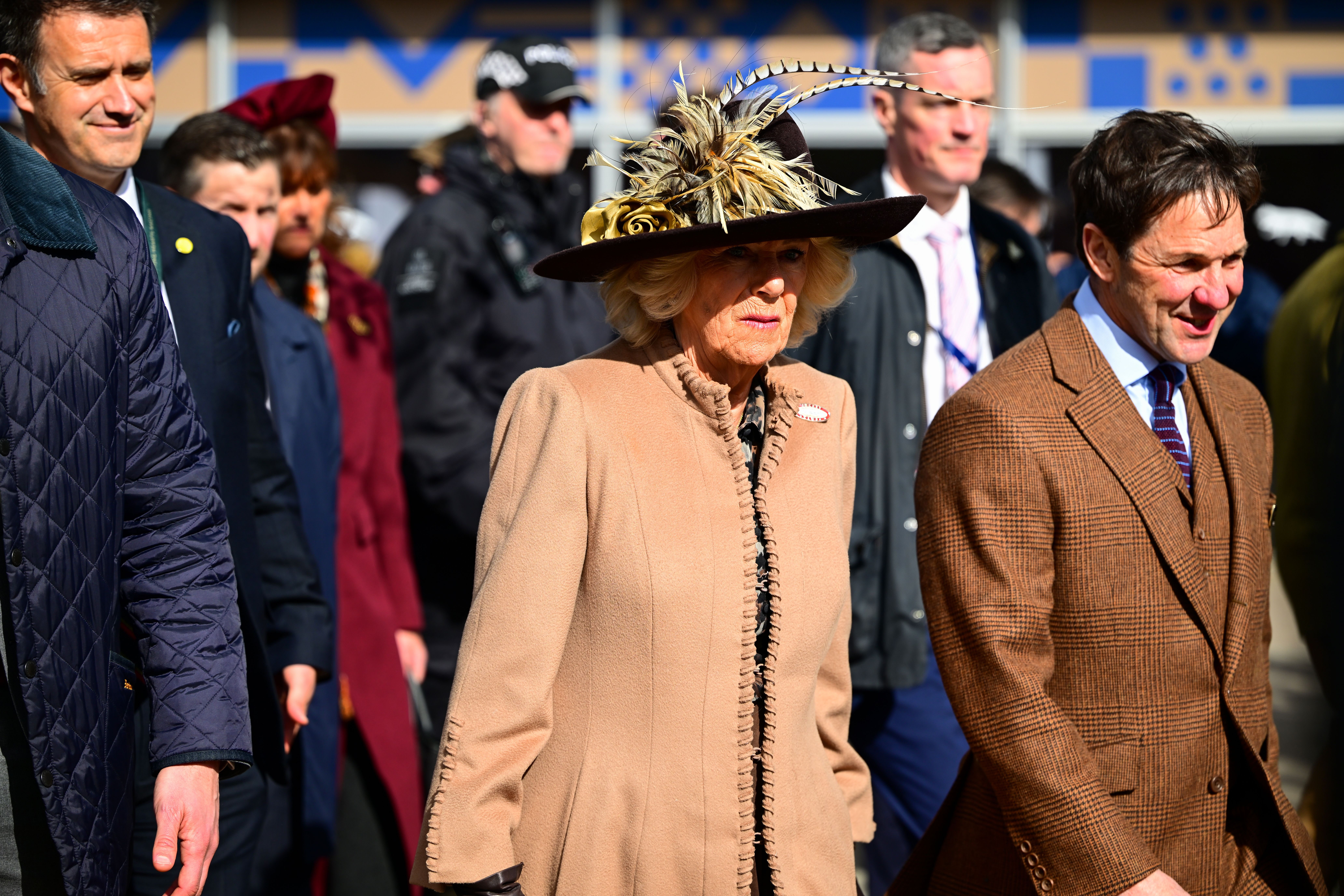 Queen Camilla at Cheltenham Festival today