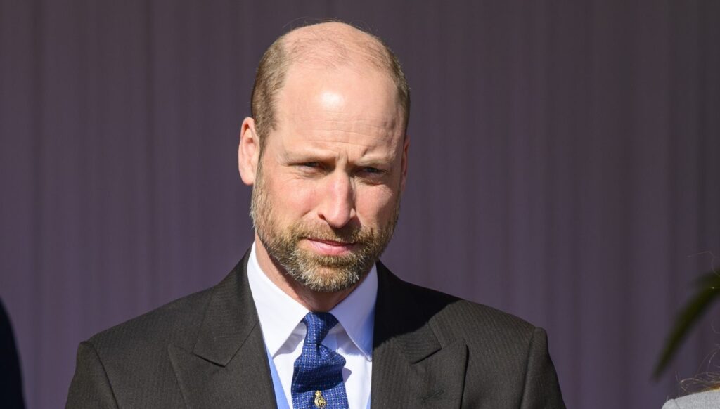 Prince William in suit at state visit