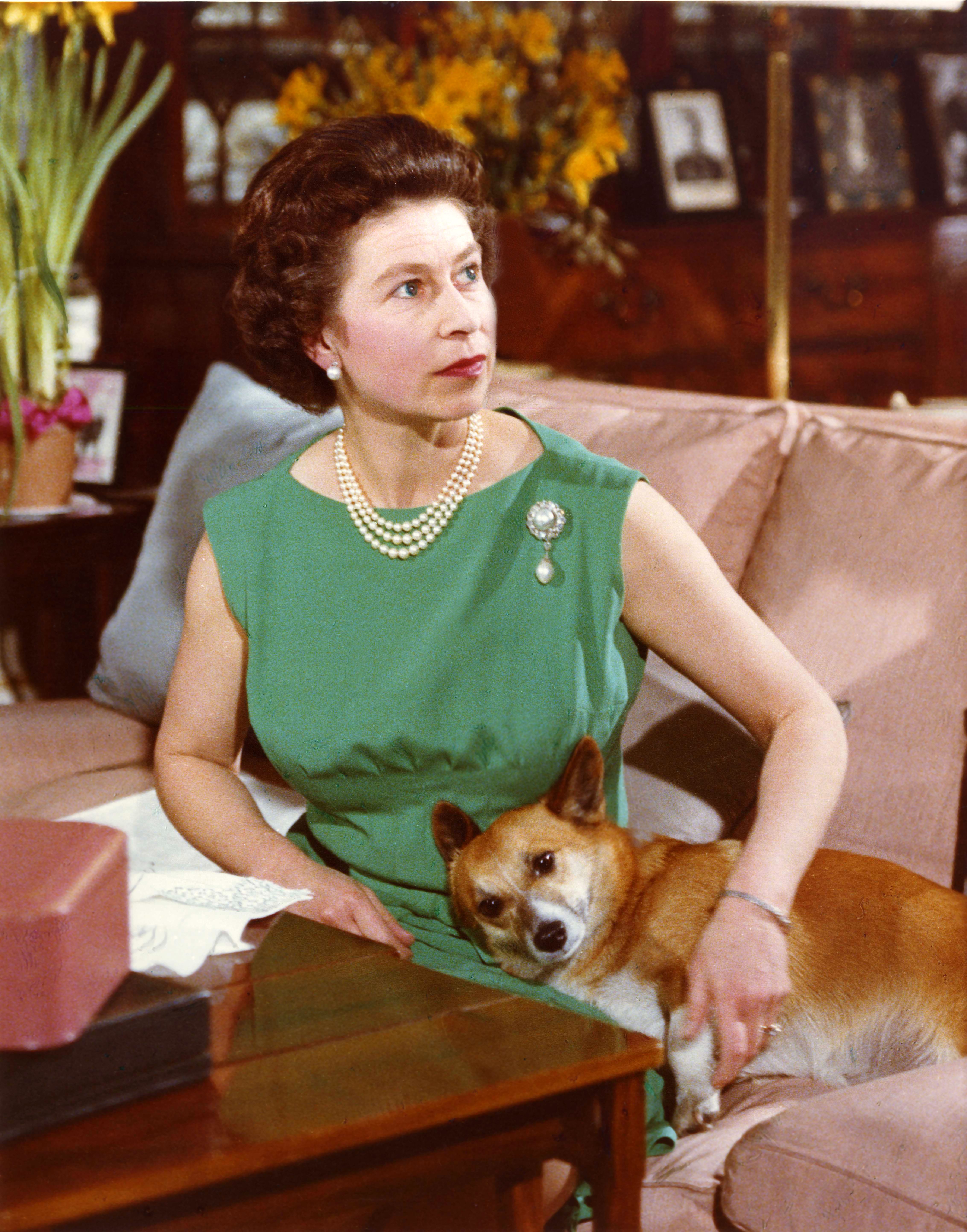 Queen Elizabeth sat beside a corgi cuddled up to her