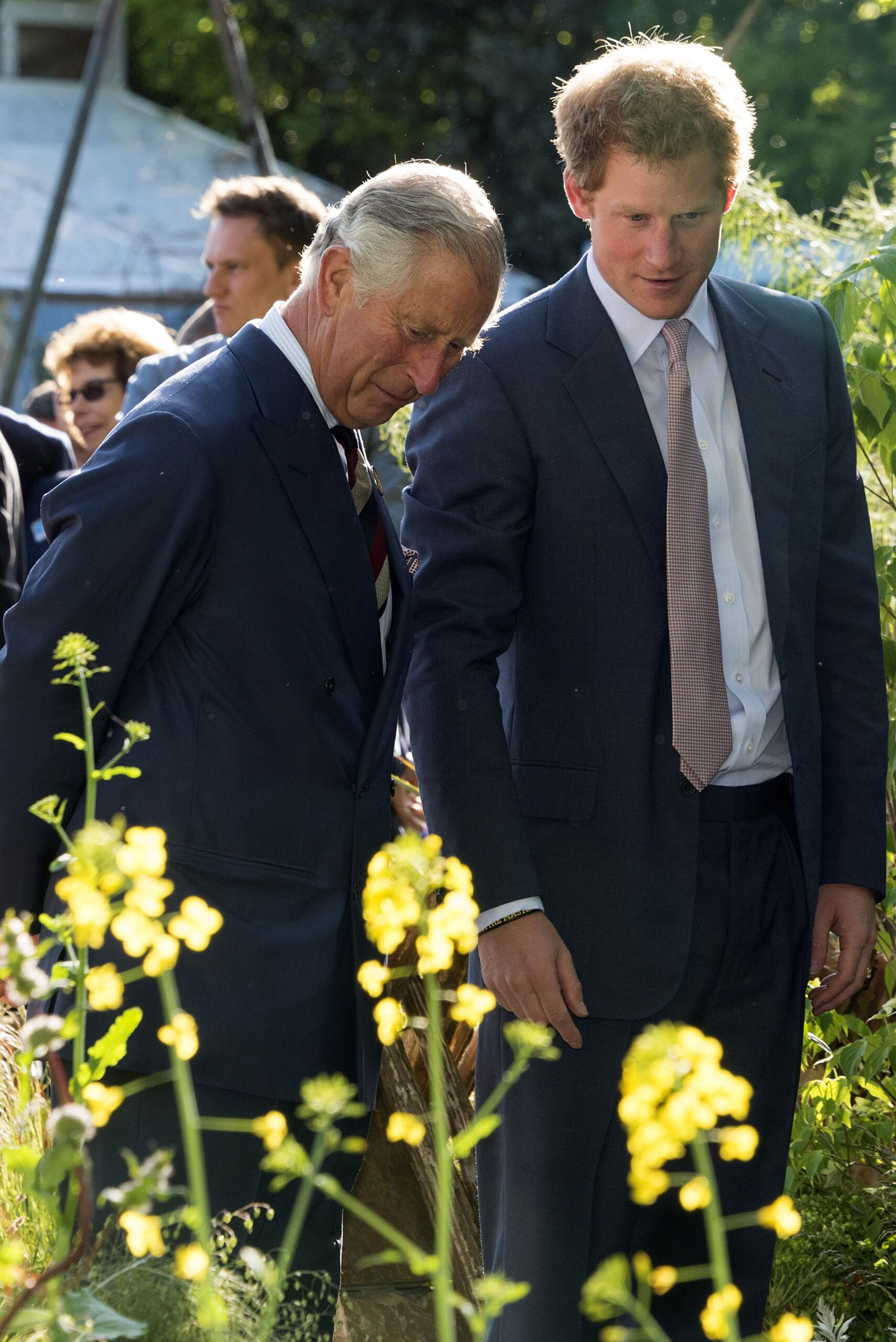 King Charles and Prince Harry at flower show