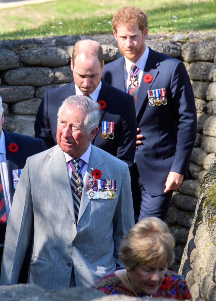 Prince William, Harry and King Charles during royal engagement 