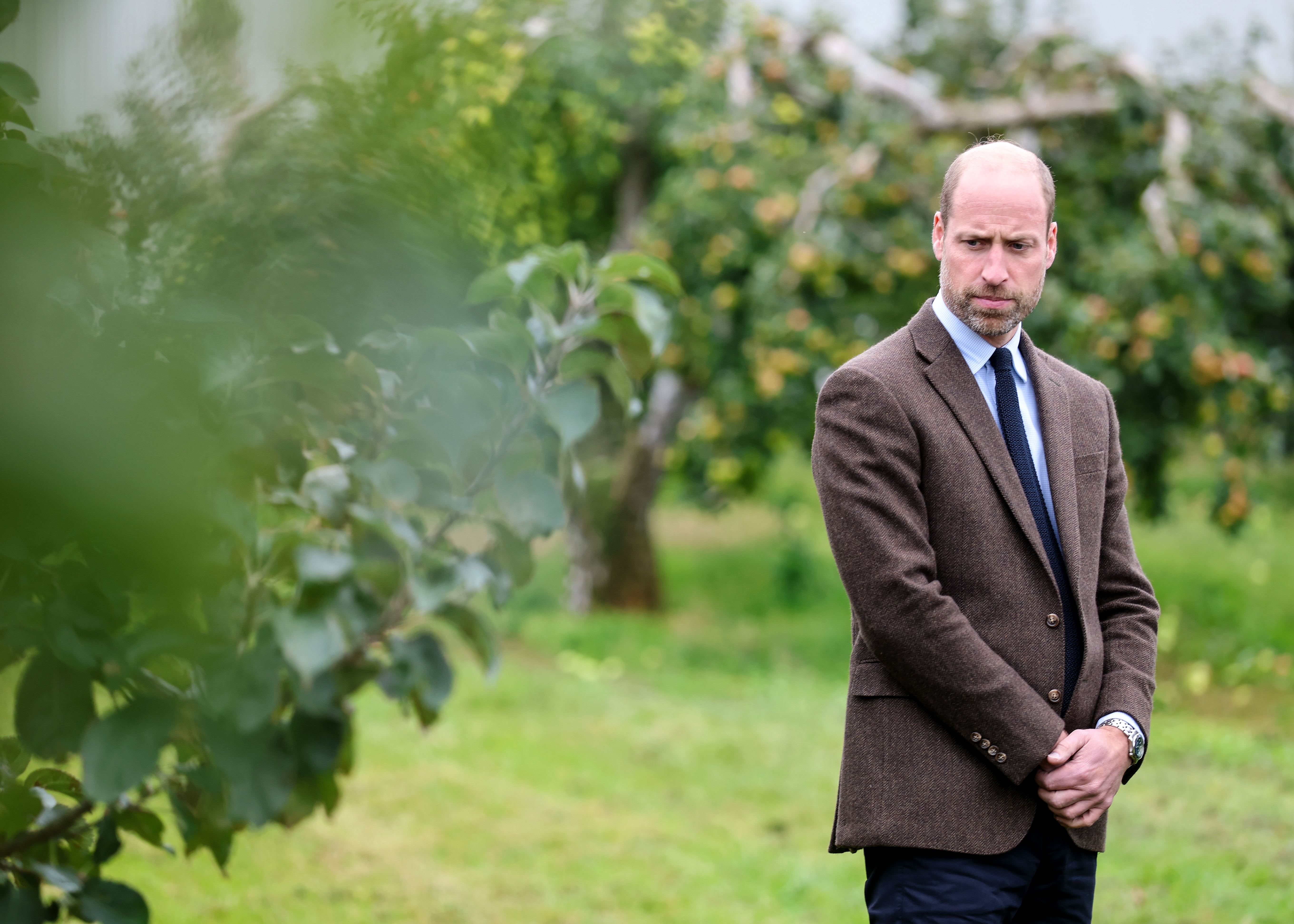 Prince William looking down and frowning beside a tree