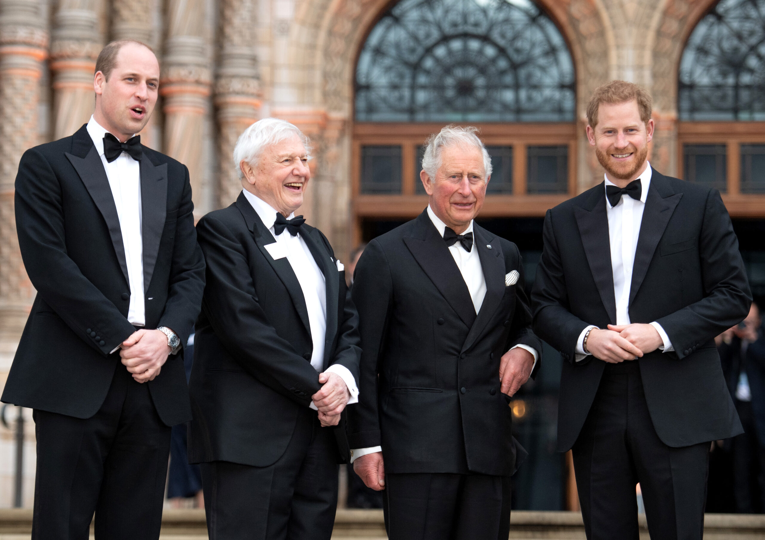 Prince William, Prince Harry, King Charles and David Attenborough in suits