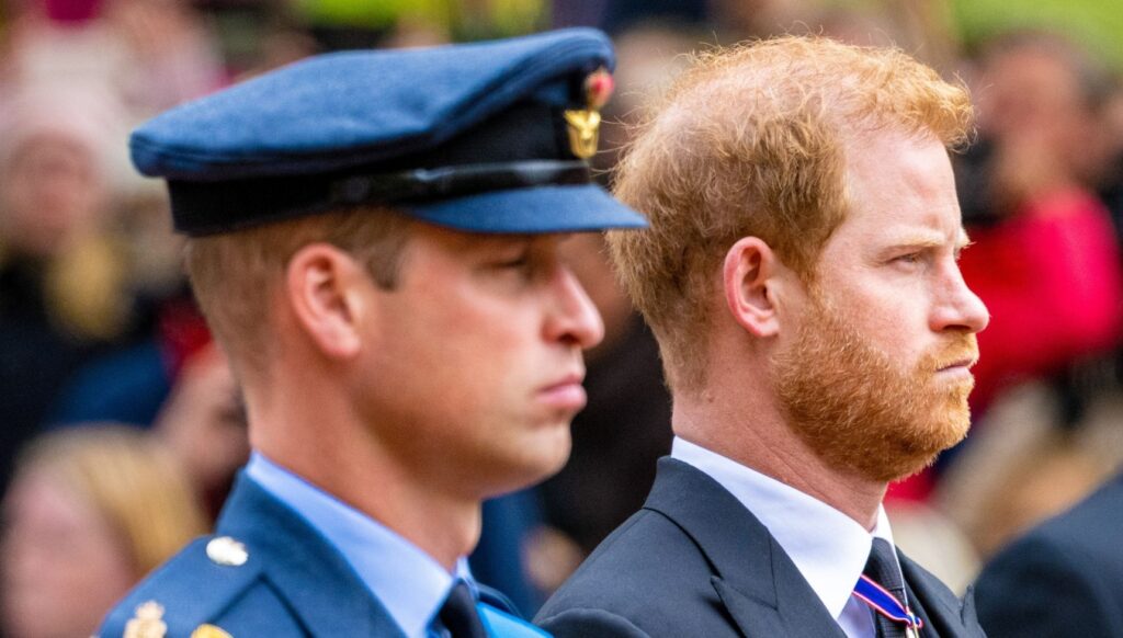 Prince William and Harry at funeral