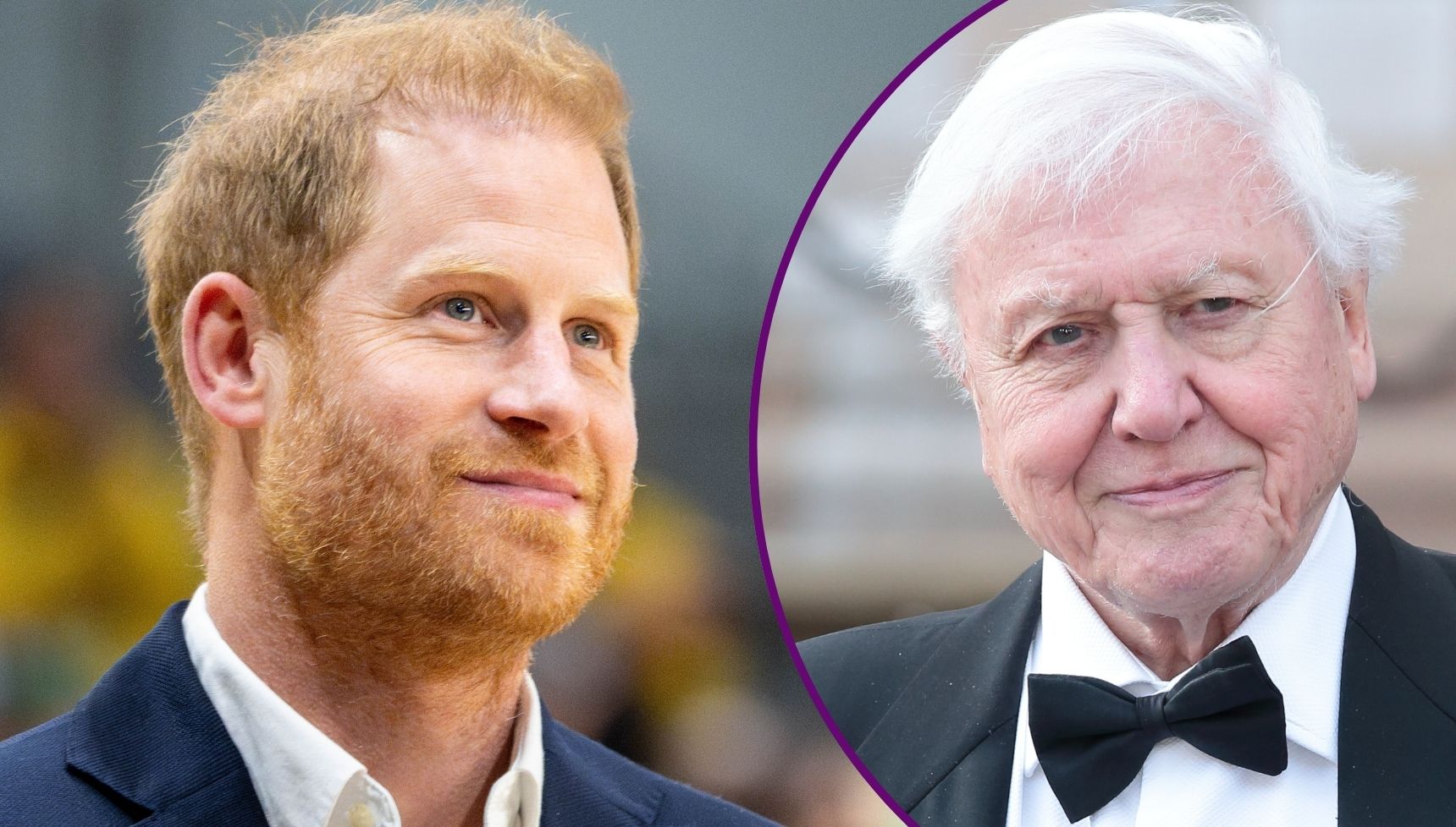 "He is a secular saint": Prince Harry shares gushing tribute to celebrate Sir David Attenborough's 100th birthday