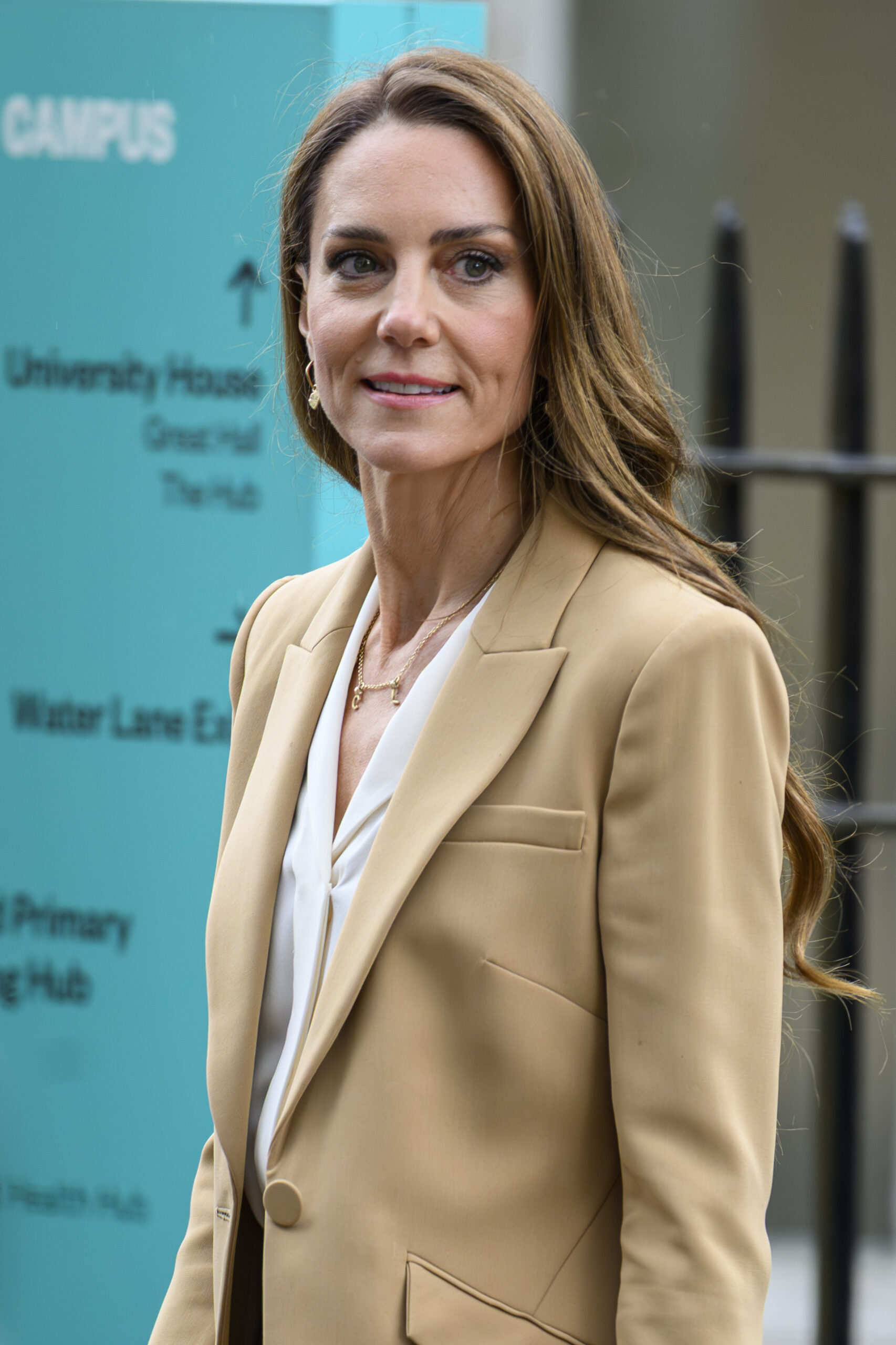 Princess of Wales during engagement